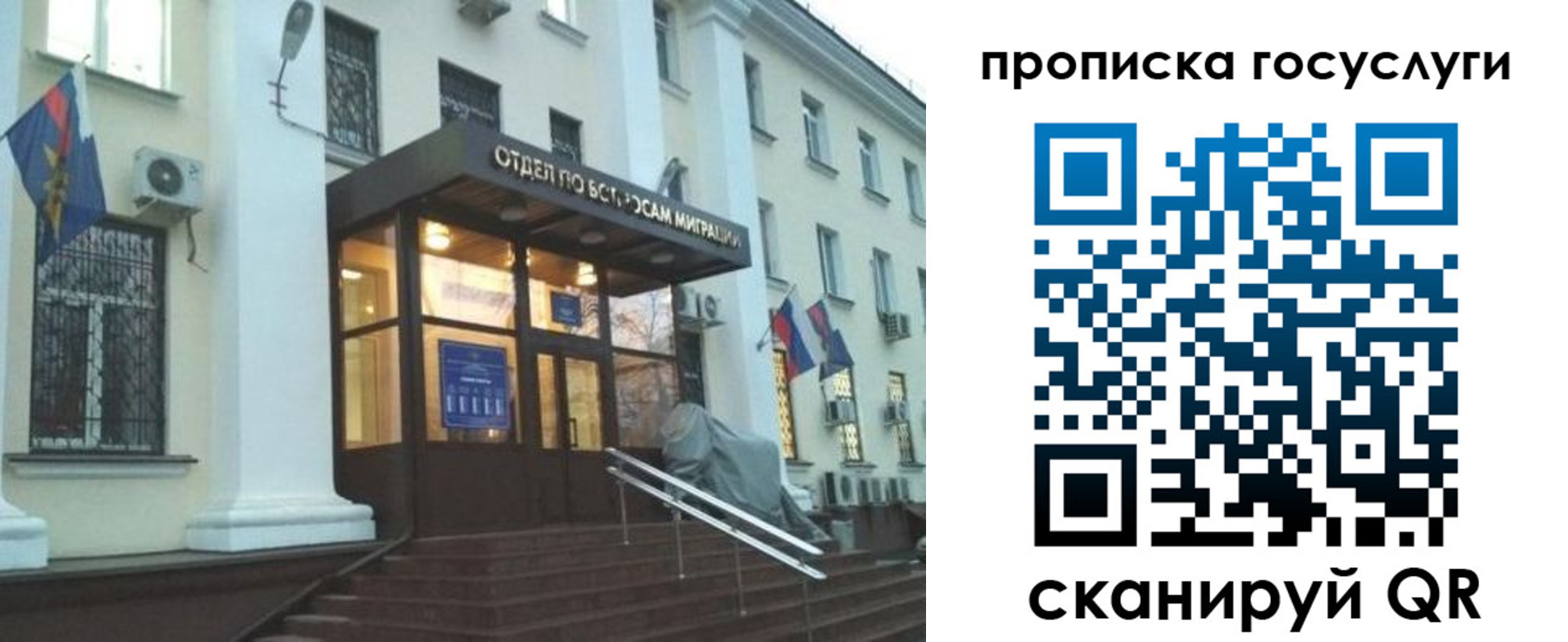 прописка для школы в Коле