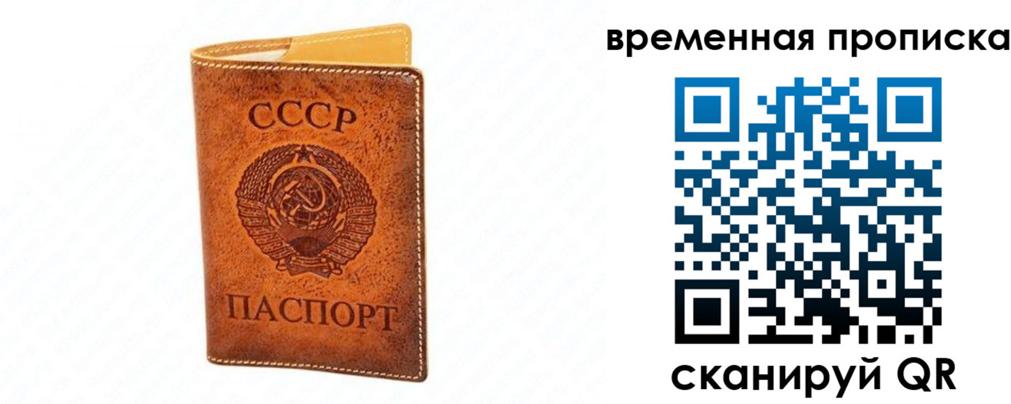 временная прописка в Коле