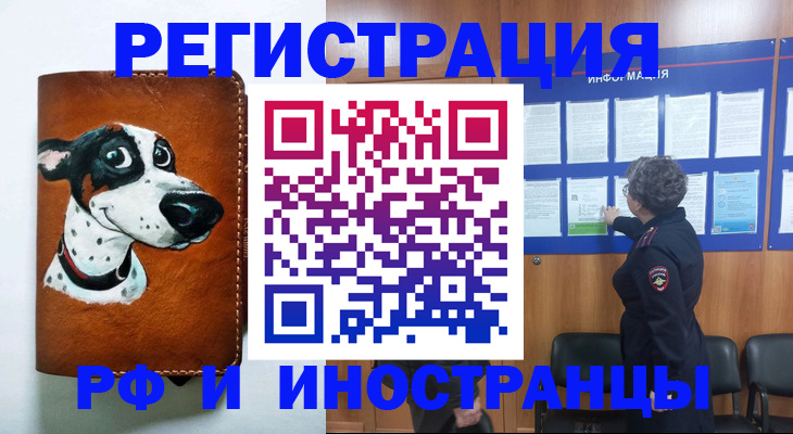 временная регистрация законно в Коле